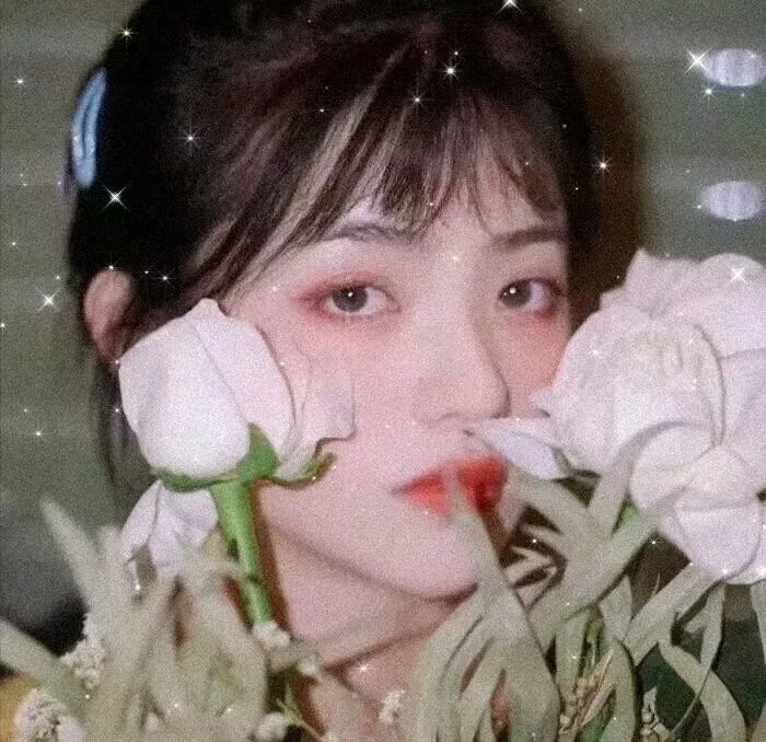 芭蕾少女梦